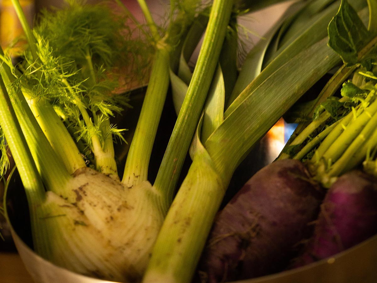 EP-1@Soren-Salvatore