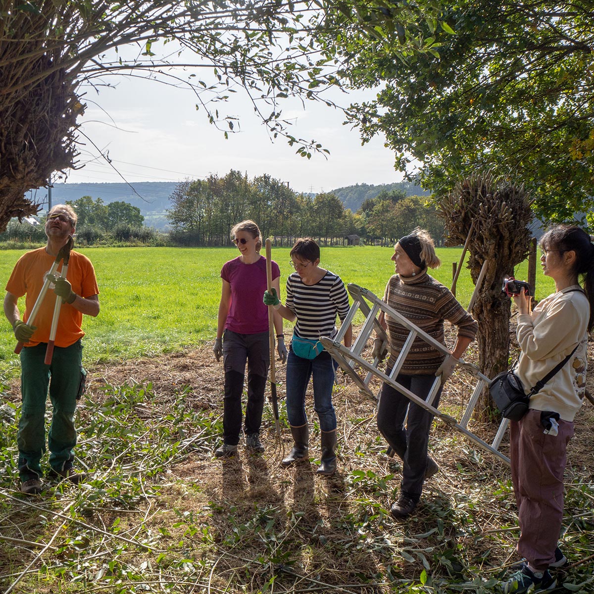 Intro_3@Sektioun-Nordstad