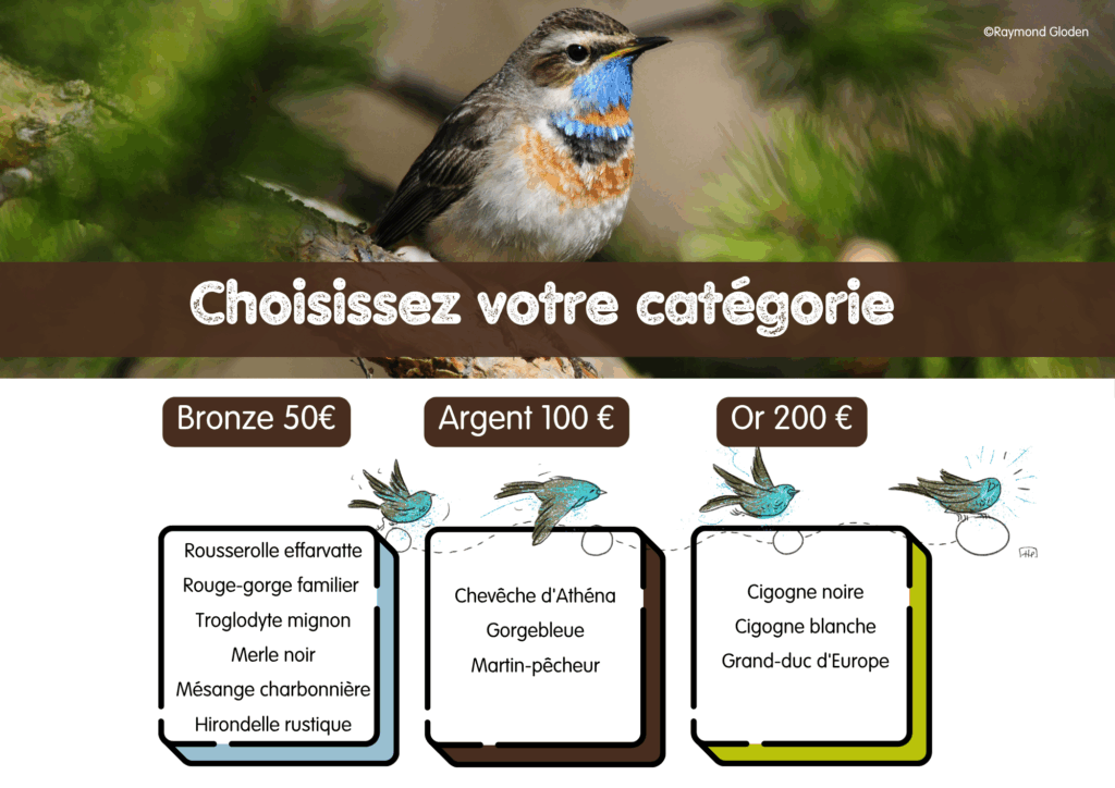 catégories 2