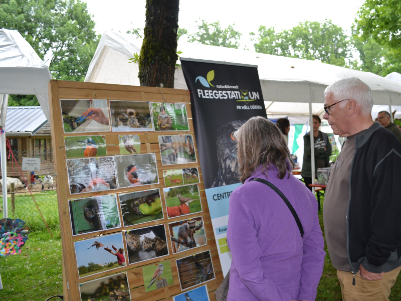 Fondation Hëllef fir d'Natur