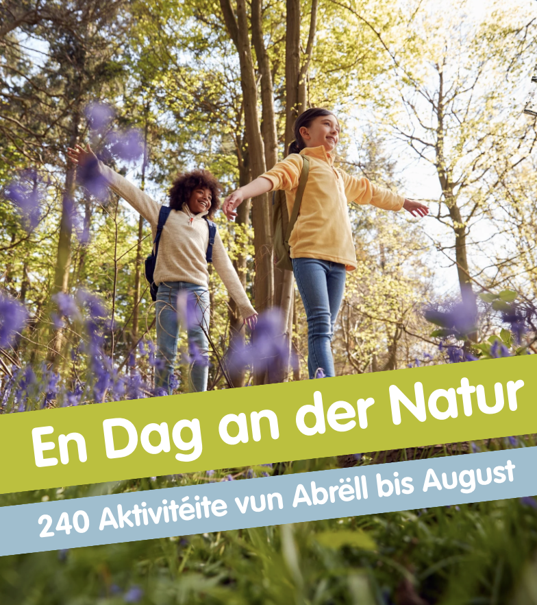 En Dag an der Natur, 240 aktivitéite vun Abrëll bis August : Excursion-prairies-et-forets-autour-de-niederanven-3