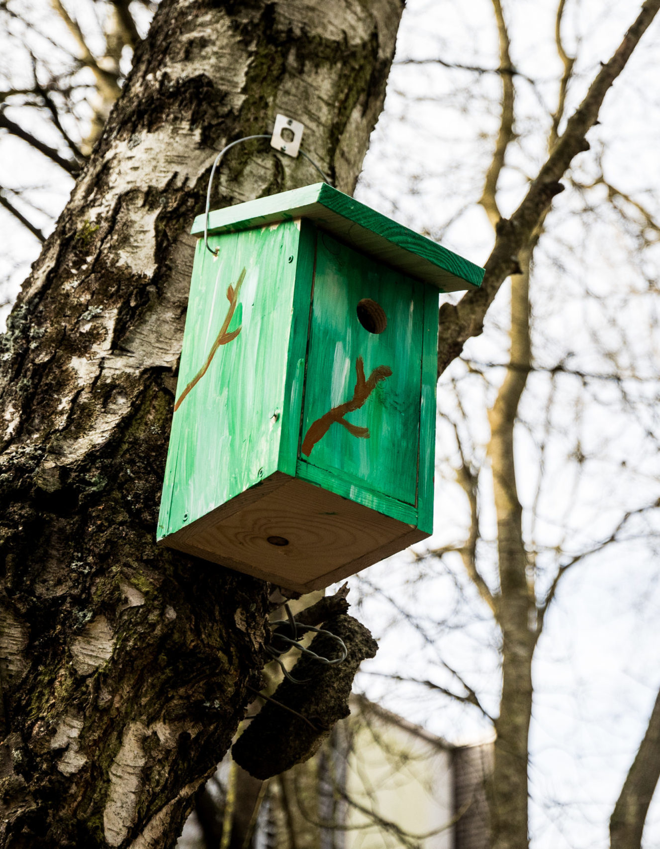Pose des nichoirs à oiseaux au CHL
