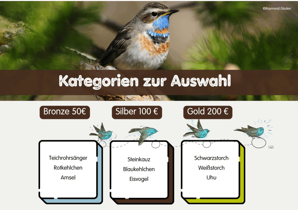 Kategorien-2