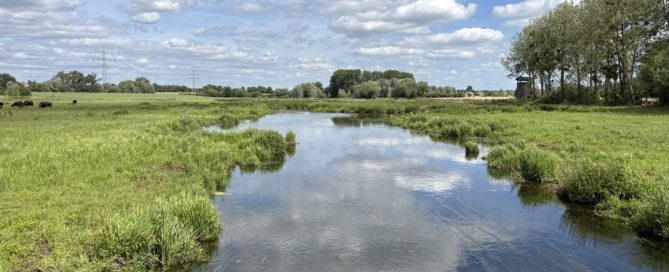 L'Alzette au niveau du Dumontshaff à Schifflange a été renaturée – malheureusement, cela reste encore une exception au Luxembourg.